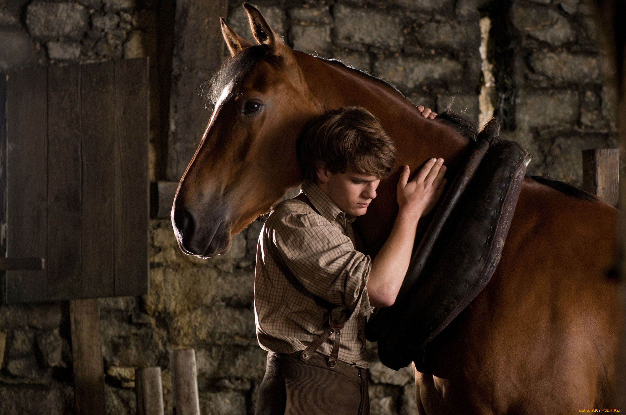 Обои War Horse Кино Фильмы War Horse, обои для рабочего стола, фотографии  war, horse, кино, фильмы, боевой, конь Обои для рабочего стола, скачать  обои картинки заставки на рабочий стол.